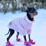 Ollipet Indigo Hyggetrøje | OUTLET